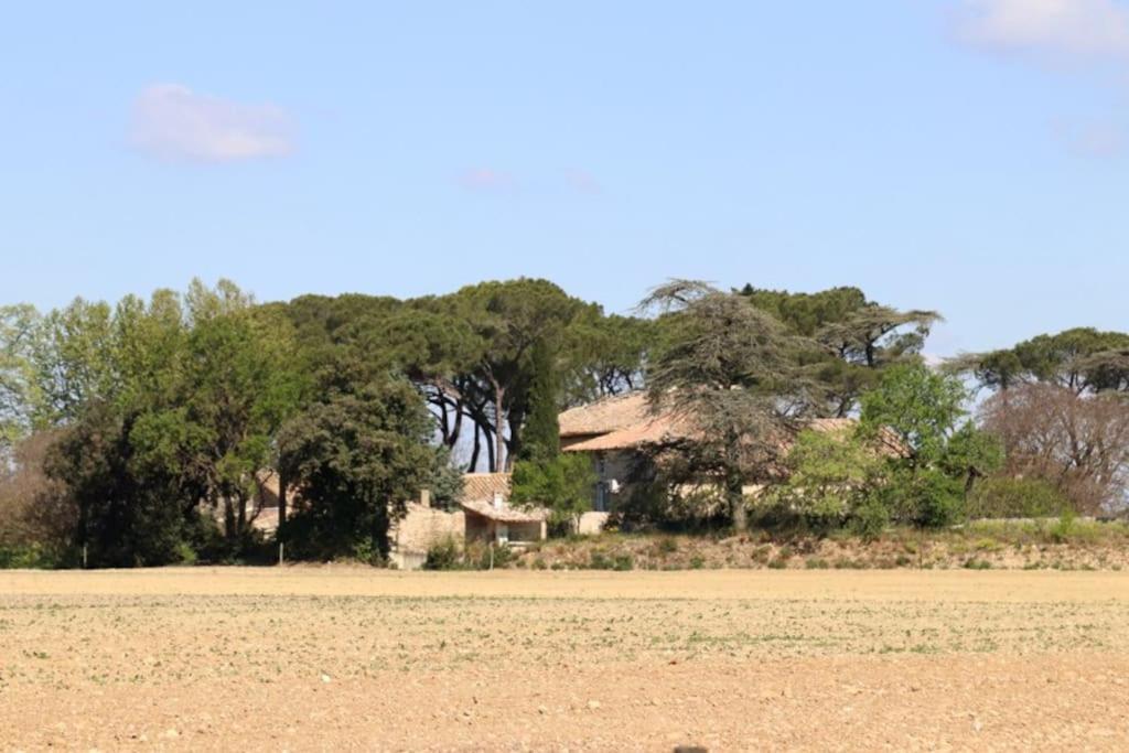 Villa Bastide Juliana à Saint-Paul-Trois-Châteaux Extérieur photo