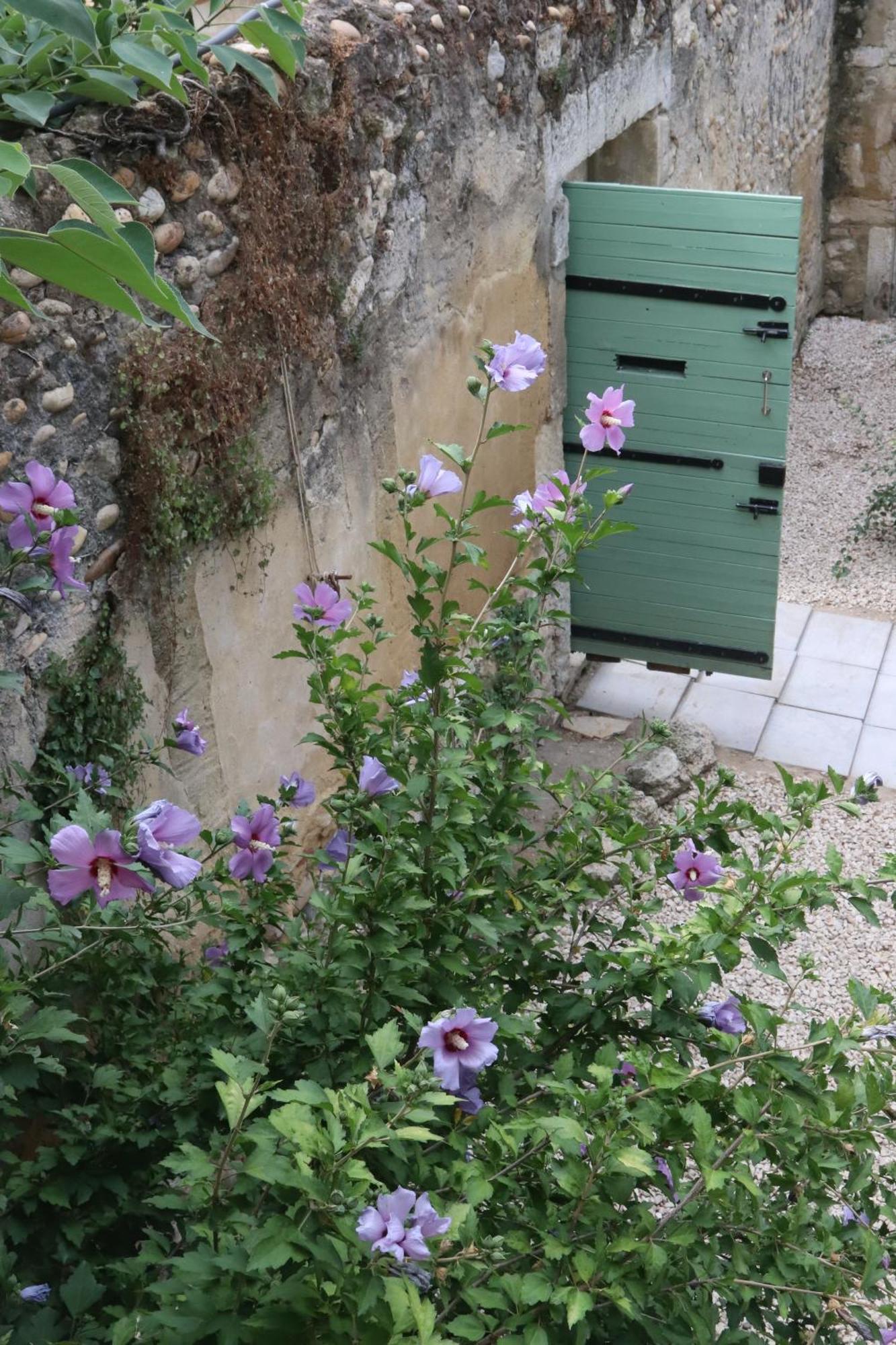 Villa Bastide Juliana à Saint-Paul-Trois-Châteaux Extérieur photo